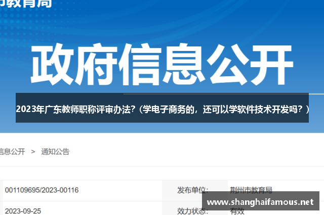 2023年广东教师职称评审办法？(学电子商务的，还可以学软件技术开发吗？)