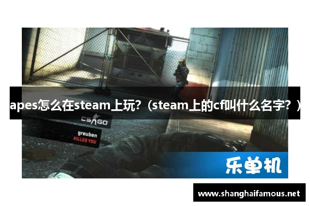 apes怎么在steam上玩？(steam上的cf叫什么名字？)