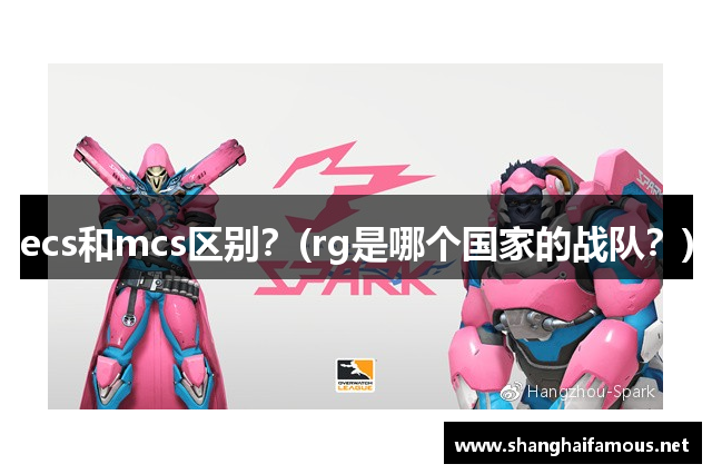 ecs和mcs区别？(rg是哪个国家的战队？)