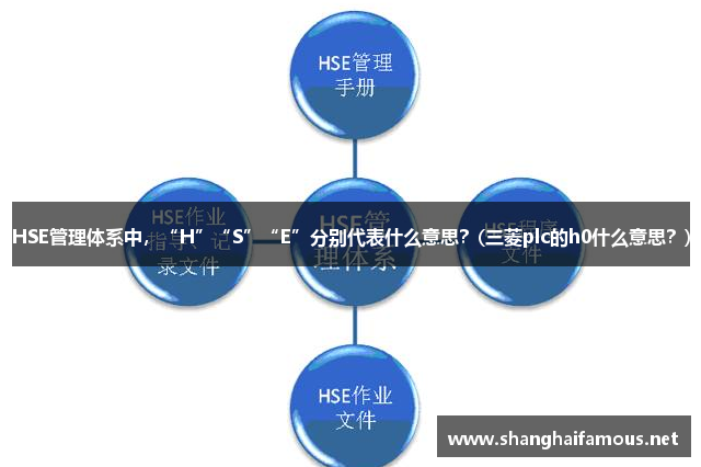 HSE管理体系中，“H”“S”“E”分别代表什么意思？(三菱plc的h0什么意思？)