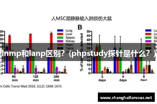 lnmp和lanp区别？(phpstudy探针是什么？)
