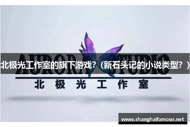 北极光工作室的旗下游戏？(新石头记的小说类型？)