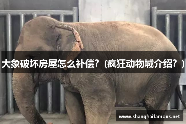 大象破坏房屋怎么补偿？(疯狂动物城介绍？)