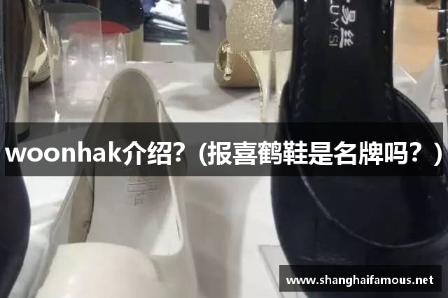 woonhak介绍？(报喜鹤鞋是名牌吗？)
