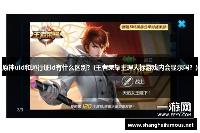 原神uid和通行证id有什么区别？(王者荣耀主理人标游戏内会显示吗？)
