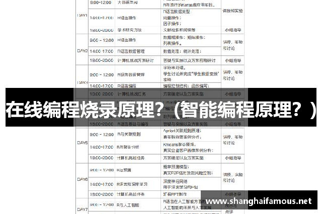 在线编程烧录原理？(智能编程原理？)