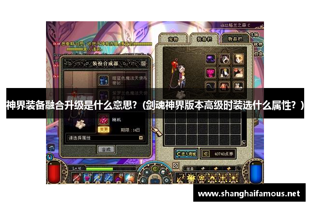 神界装备融合升级是什么意思？(剑魂神界版本高级时装选什么属性？)